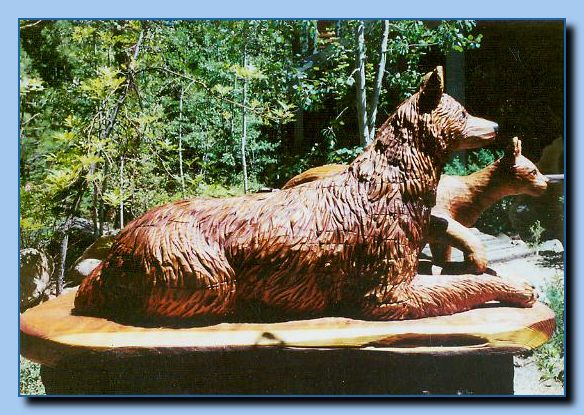 2-11a wolf and cat-archive-0001